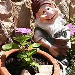 Dora דירה פג